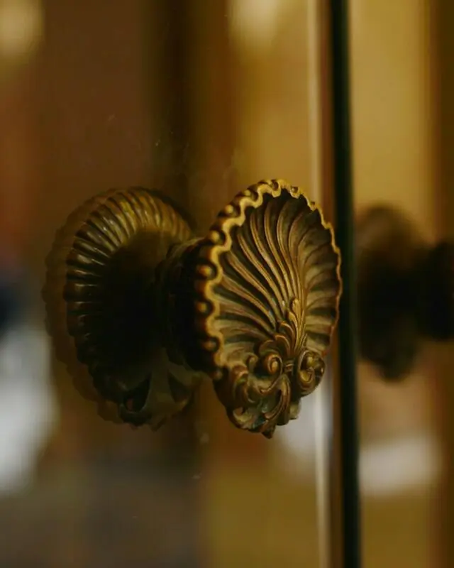 Brass shell knobs on wood cabinet doors