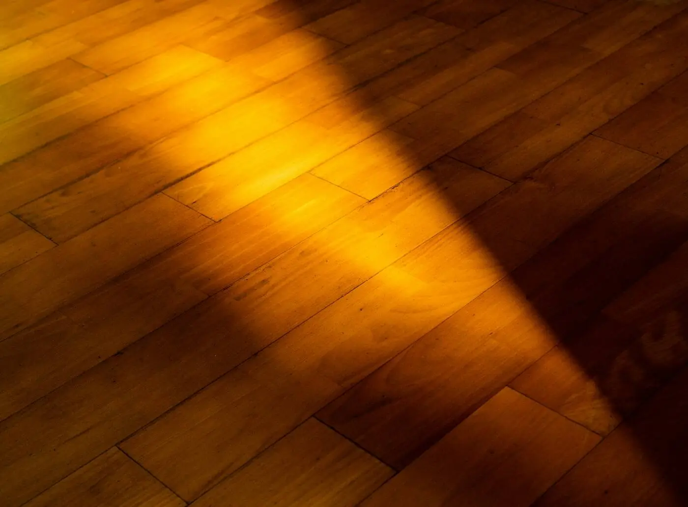 Late sun across a wood plank floor